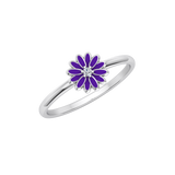 FAS-373-COMPLETE-Enamel