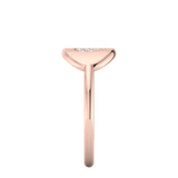 FAS-324-COMPLETE
