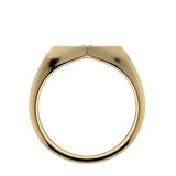 FAS-330-COMPLETE