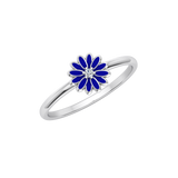 FAS-373-COMPLETE-Enamel