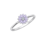 FAS-373-COMPLETE-Enamel