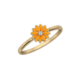 FAS-373-COMPLETE-Enamel