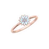 FAS-373-COMPLETE-Enamel
