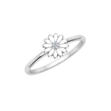 FAS-373-COMPLETE-Enamel