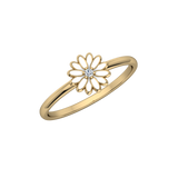FAS-373-COMPLETE-Enamel