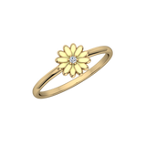 FAS-373-COMPLETE-Enamel