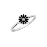 FAS-373-COMPLETE-Enamel